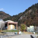 반딧불이 생태학교 이미지