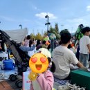 (주)티켓몰