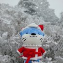 순실크 이미지