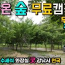 천제당입구 | 마을에서 폐쇄 ㅠㅠ...돌아온 숲속 무료캠핑장 무료캠핑 차박천국 평창 천제당유원지