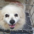 21세기토이 이미지