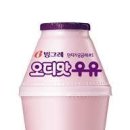 빙그레 PC 이미지