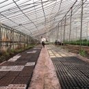 부해농장 이미지