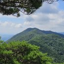 산길 이미지