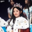 키쿠 이미지