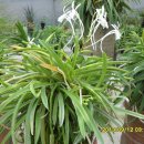 대주농장 이미지