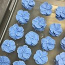 사하구-01 | 사하여성인력개발센터 | 앙금플라워 떡케이크 전문가 과정_1주차