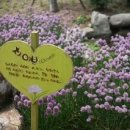 배내허브랜드 이미지