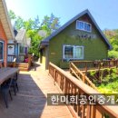 299펜션 티스토리