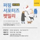 펫밀리 이미지