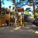 송림톱밥 이미지