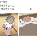 [주간일기]2023년 8월의 일상 - 2