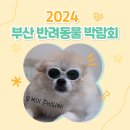 주식회사 어바웃펫 | 2024 부산반려동물 박람회 입장료 참여업체 주차요금