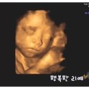 차다림 이미지