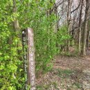 건지산숲속작은도서관 이미지