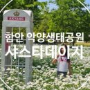 악양승마장 이미지