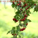 대화농업체험공원 이미지