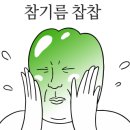 마타비 이미지