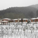 장성편백숲황토펜션 이미지