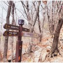 현등사고찰길 | 만경대~운악산(동봉)~남근석바위전망대~절고개~현등사~백년폭포~주차장(7.74k) 블랙야크24.10.09.수요일...