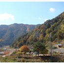 참새골민박