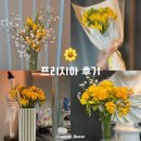 후리지아 | 프리지아 생화택배 고객 리얼후기! 후리지아 봄 선물 추천해요