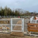 우리드라이방 | &lt;보령 애견동반숙소&gt; 히든빌리지 숙소 내돈내산 후기, 강아지 전용수영장,운동장,드라이룸도 있어요