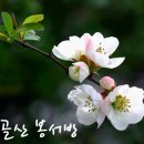 소모는막대기 이미지