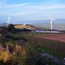 아스타축제 이미지