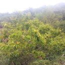 박종기농장 이미지