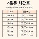 설봉무에타이·복싱체육관 | [광주 킥복싱 후기] 체력관리·호신술·스트레스 해소까지! 운천팀맥 무에타이 체험기
