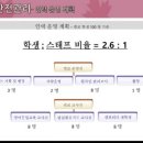 메이플캠프