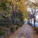 (주)우리동네 이미지