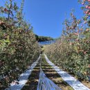 햇터농장 이미지