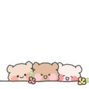 스시로운생활 이미지