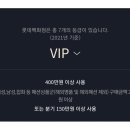 VIP바