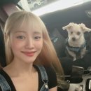 멍펜션13 이미지