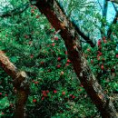 은하수독서실 이미지