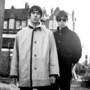 오아시스 이미지