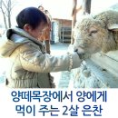 은찬목장 이미지