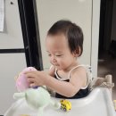 페파스토어 | 페파피그 애착인형 시기 돌아기 장난감 추천