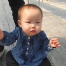 태성참딸기농원