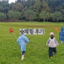 깨비숲 | 5살 6살 깨비의 숲마을 숲체험 낮숲, 밤숲 후기
