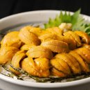 에이치투김 | 당일조업 포항 말똥 성게알 우니 100g 500g 1kg 생물