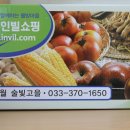 술빛 이미지