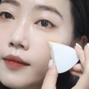 올리브영 퍼프 추천 더분 하이드로 메이크업 스펀지