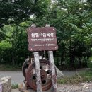 꿈벌사슴목장 이미지