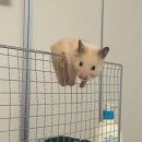 심방마을 | 티티