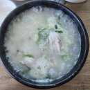 토계촌 | 제주삼계탕맛집 토계촌 식사후기