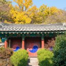 문화안길23 이미지